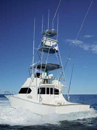 new boat Picture1