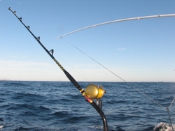 Rigger