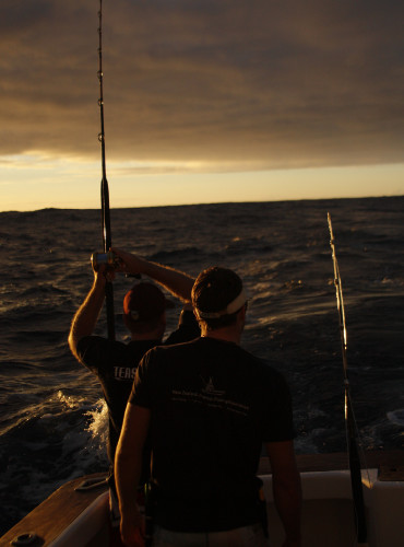 Twilight Fishing